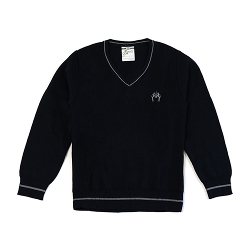 CHOMPA ESCOLAR "ZANELLI"